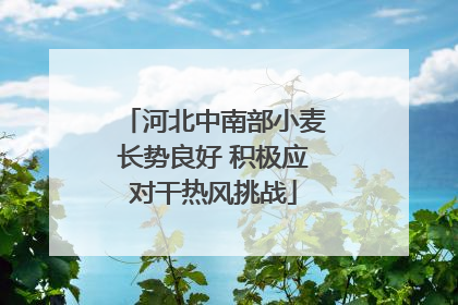 河北中南部小麦长势良好 积极应对干热风挑战