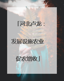 河北卢龙：发展设施农业促农增收