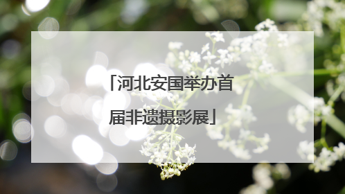 河北安国举办首届非遗摄影展