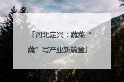 河北定兴：蔬菜“蔬”写产业新篇章