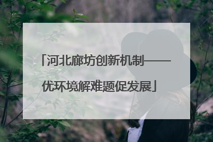河北廊坊创新机制——优环境解难题促发展