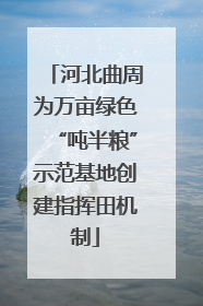 河北曲周为万亩绿色“吨半粮”示范基地创建指挥田机制