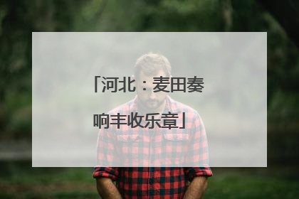 河北：麦田奏响丰收乐章