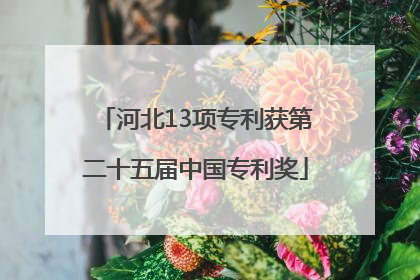 河北13项专利获第二十五届中国专利奖