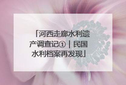 河西走廊水利遗产调查记①｜民国水利档案再发现