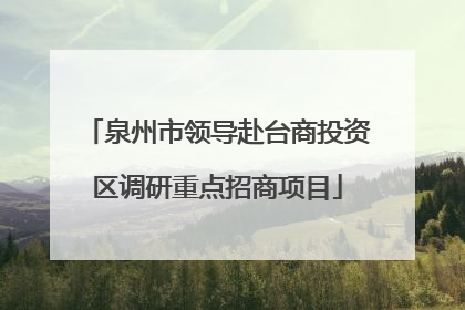 泉州市领导赴台商投资区调研重点招商项目