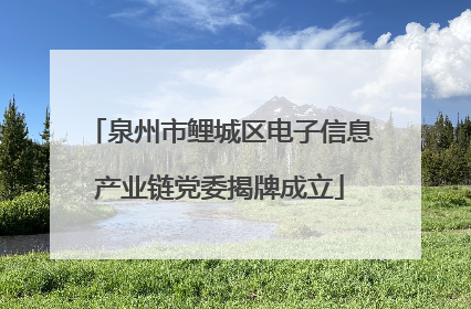 泉州市鲤城区电子信息产业链党委揭牌成立