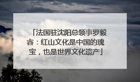 法国驻沈阳总领事罗毅睿：红山文化是中国的瑰宝，也是世界文化遗产