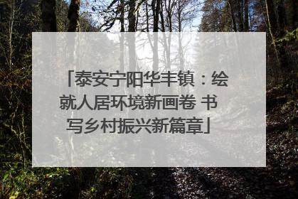 泰安宁阳华丰镇：绘就人居环境新画卷 书写乡村振兴新篇章