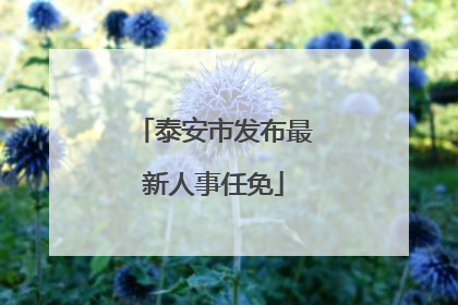 泰安市发布最新人事任免