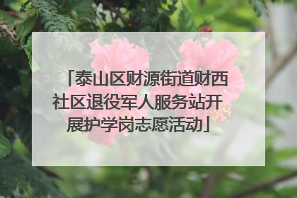 泰山区财源街道财西社区退役军人服务站开展护学岗志愿活动
