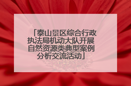 泰山景区综合行政执法局机动大队开展自然资源类典型案例分析交流活动