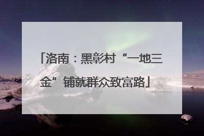 洛南：黑彰村“一地三金”铺就群众致富路