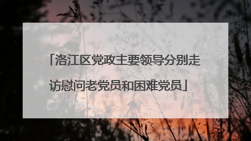 洛江区党政主要领导分别走访慰问老党员和困难党员