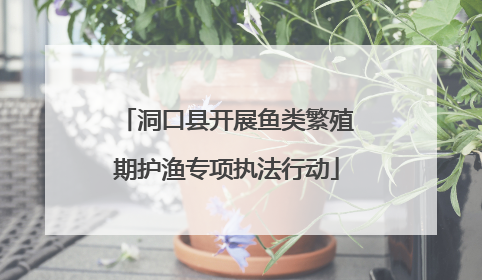 洞口县开展鱼类繁殖期护渔专项执法行动