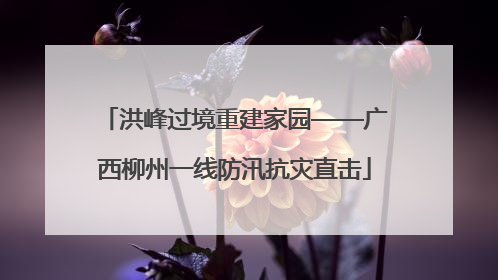 洪峰过境重建家园——广西柳州一线防汛抗灾直击