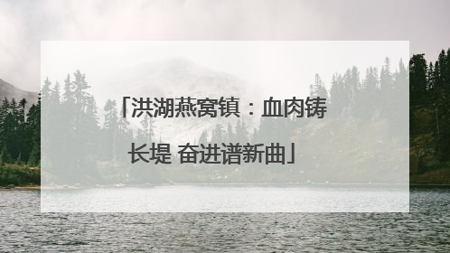 洪湖燕窝镇：血肉铸长堤 奋进谱新曲