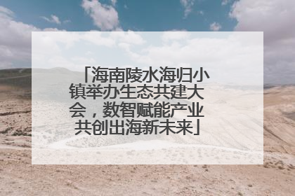 海南陵水海归小镇举办生态共建大会，数智赋能产业共创出海新未来