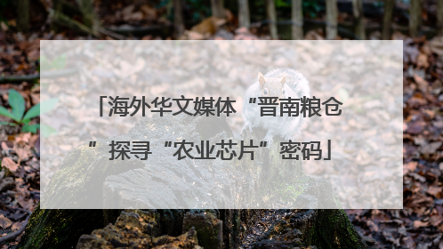 海外华文媒体“晋南粮仓”探寻“农业芯片”密码