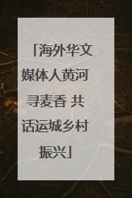 海外华文媒体人黄河寻麦香 共话运城乡村振兴
