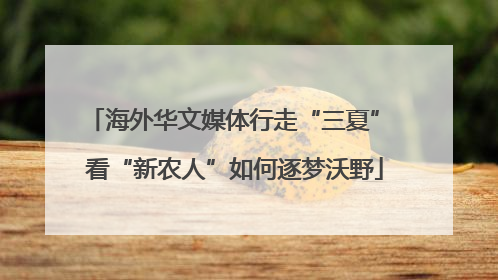 海外华文媒体行走“三夏” 看“新农人”如何逐梦沃野