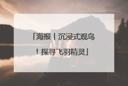 海报丨沉浸式观鸟！探寻飞羽精灵