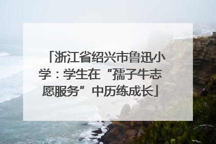 浙江省绍兴市鲁迅小学：学生在“孺子牛志愿服务”中历练成长