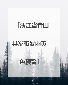 浙江省青田县发布暴雨黄色预警