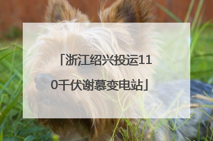 浙江绍兴投运110千伏谢慕变电站
