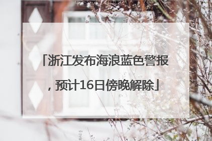 浙江发布海浪蓝色警报，预计16日傍晚解除