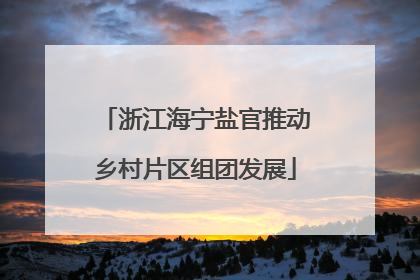 浙江海宁盐官推动乡村片区组团发展