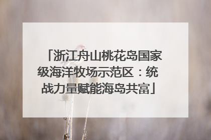 浙江舟山桃花岛国家级海洋牧场示范区：统战力量赋能海岛共富