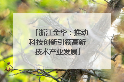 浙江金华：推动科技创新引领高新技术产业发展