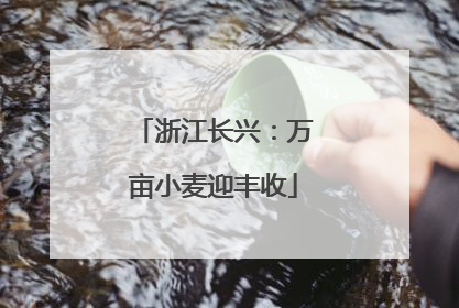 浙江长兴：万亩小麦迎丰收
