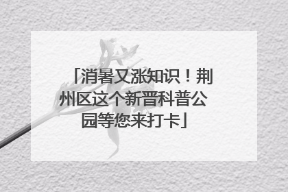 消暑又涨知识！荆州区这个新晋科普公园等您来打卡