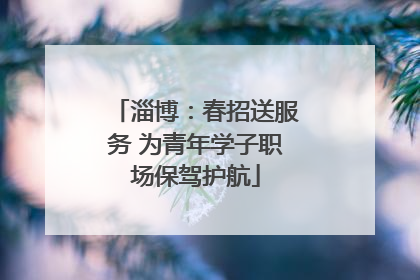 淄博：春招送服务 为青年学子职场保驾护航