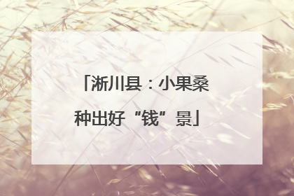淅川县：小果桑种出好“钱”景