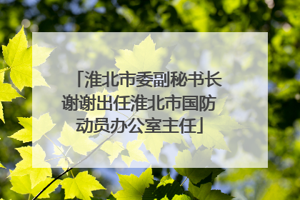 淮北市委副秘书长谢谢出任淮北市国防动员办公室主任