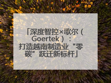 深度智控×歌尔（Goertek）：打造越南制造业“零碳”跃迁新标杆