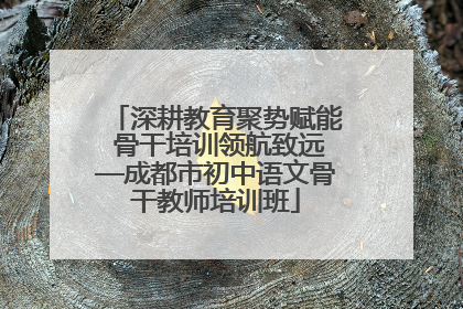 深耕教育聚势赋能 骨干培训领航致远—成都市初中语文骨干教师培训班