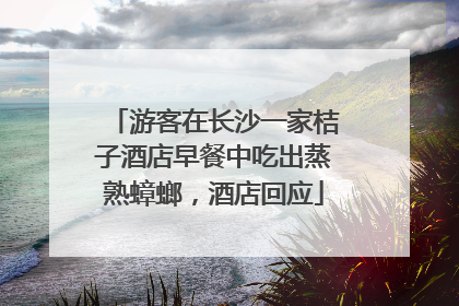 游客在长沙一家桔子酒店早餐中吃出蒸熟蟑螂，酒店回应