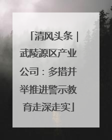清风头条｜武陵源区产业公司：多措并举推进警示教育走深走实