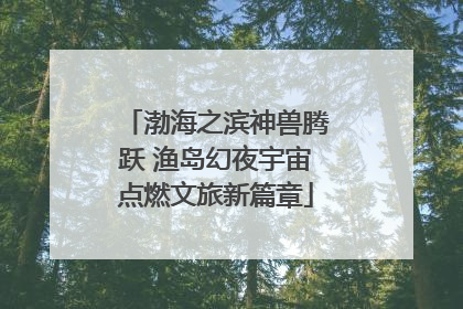 渤海之滨神兽腾跃 渔岛幻夜宇宙点燃文旅新篇章
