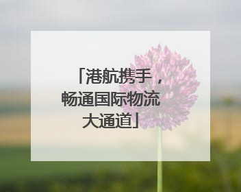 港航携手，畅通国际物流大通道