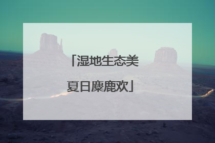 湿地生态美 夏日麋鹿欢