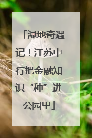 湿地奇遇记！江苏中行把金融知识“种”进公园里
