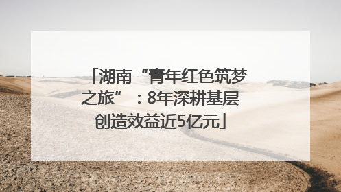 湖南“青年红色筑梦之旅”：8年深耕基层创造效益近5亿元