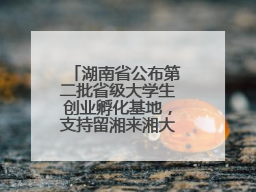 湖南省公布第二批省级大学生创业孵化基地，支持留湘来湘大学生创新创业