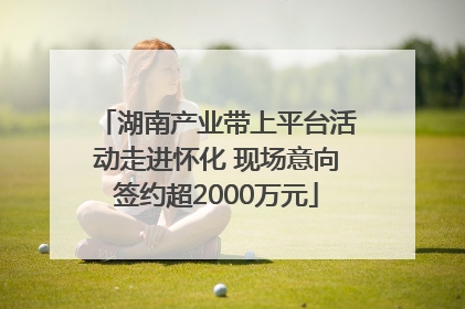 湖南产业带上平台活动走进怀化 现场意向签约超2000万元