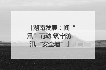 湖南发展：闻“汛”而动 筑牢防汛“安全墙”